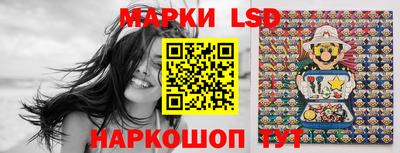 МДПВ Новозыбков