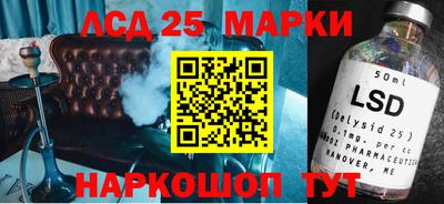МДПВ Новозыбков