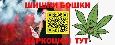 МДПВ Новозыбков