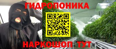 МДПВ Новозыбков