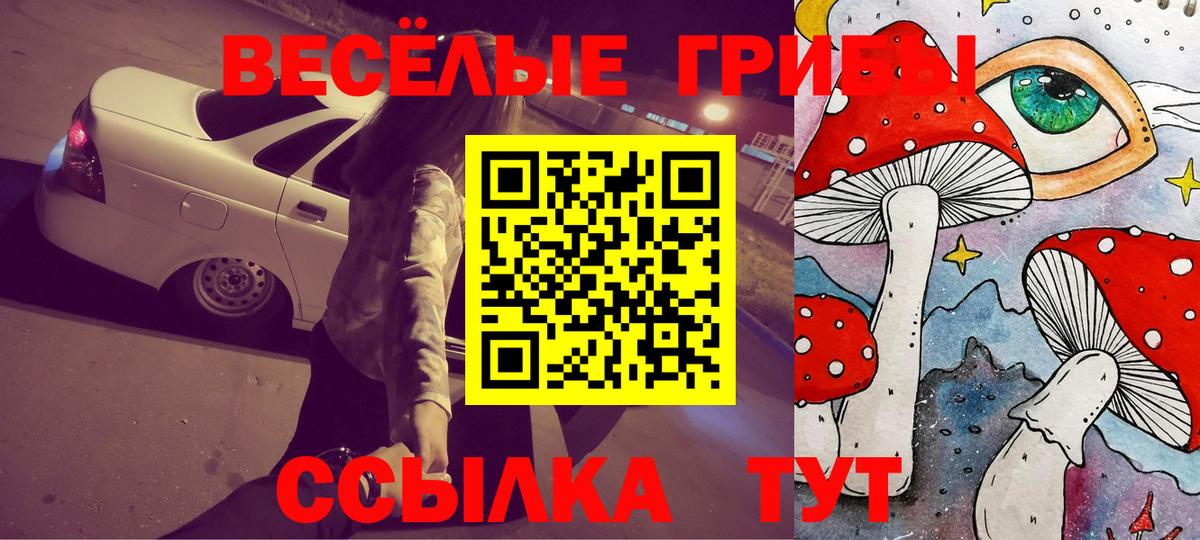 Галлюциногенные грибы мицелий Скопин